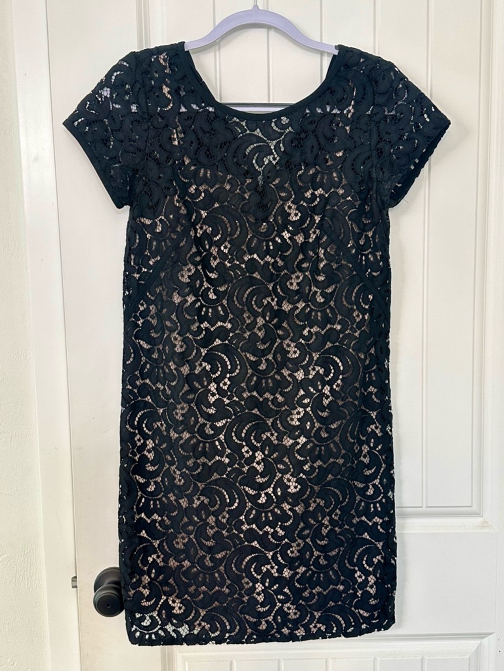 Black Lace Short Sleeve Shift Dress - Classic Women's Dress- LOFT